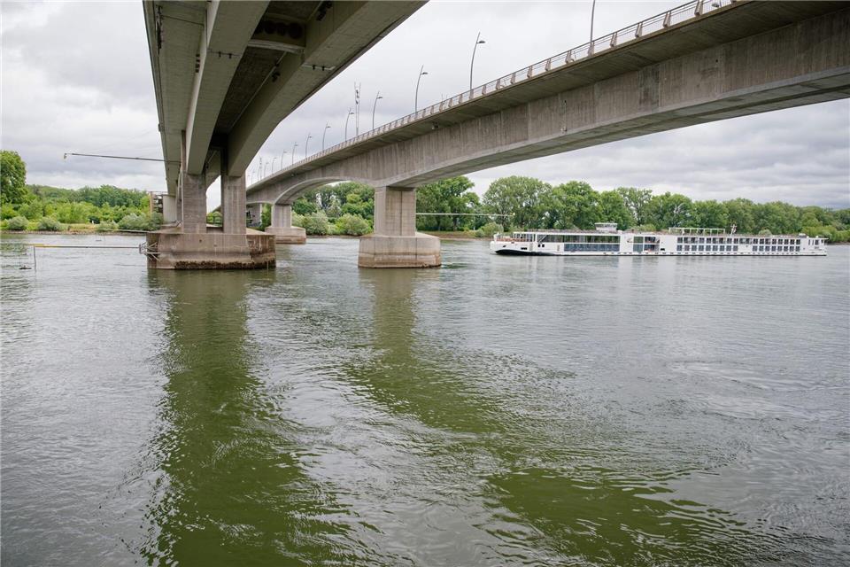 Pilotstudie untersucht Artenvielfalt im Rhein Am Rheinufer in Worms fand einleitend die erste Probeentnahme statt. (Symbolbild)Uwe Anspach/dpa