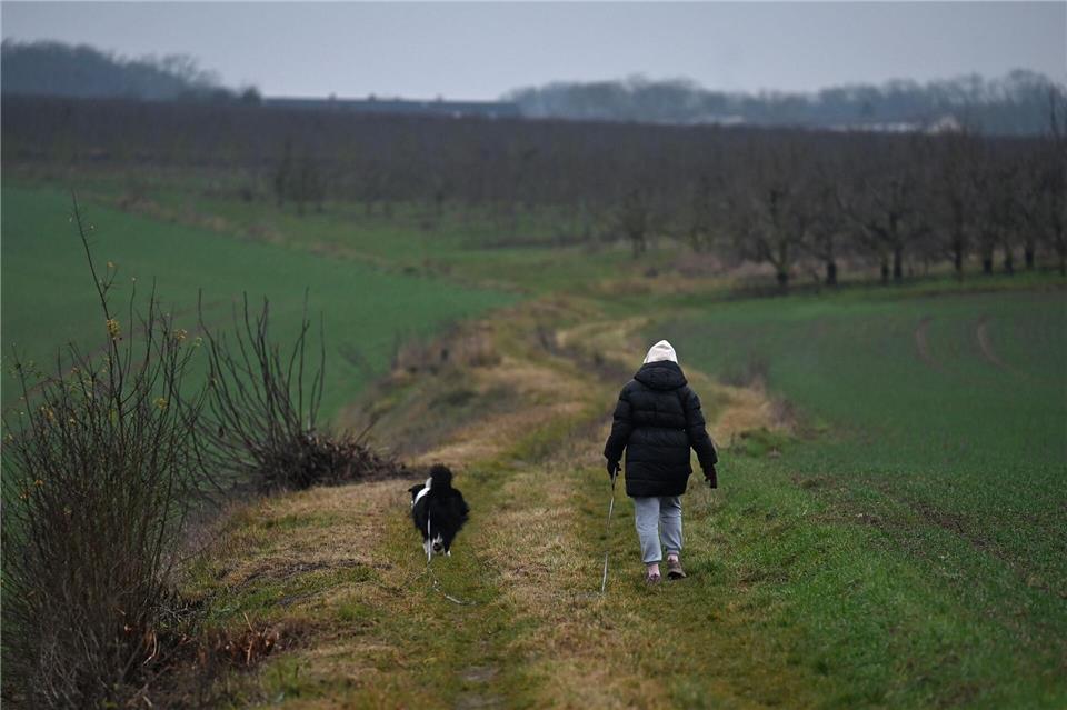 Am Samstag ist es in Rheinland-Pfalz und dem Saarland neblig. (Symbolbild)Michael Brandt/dpa