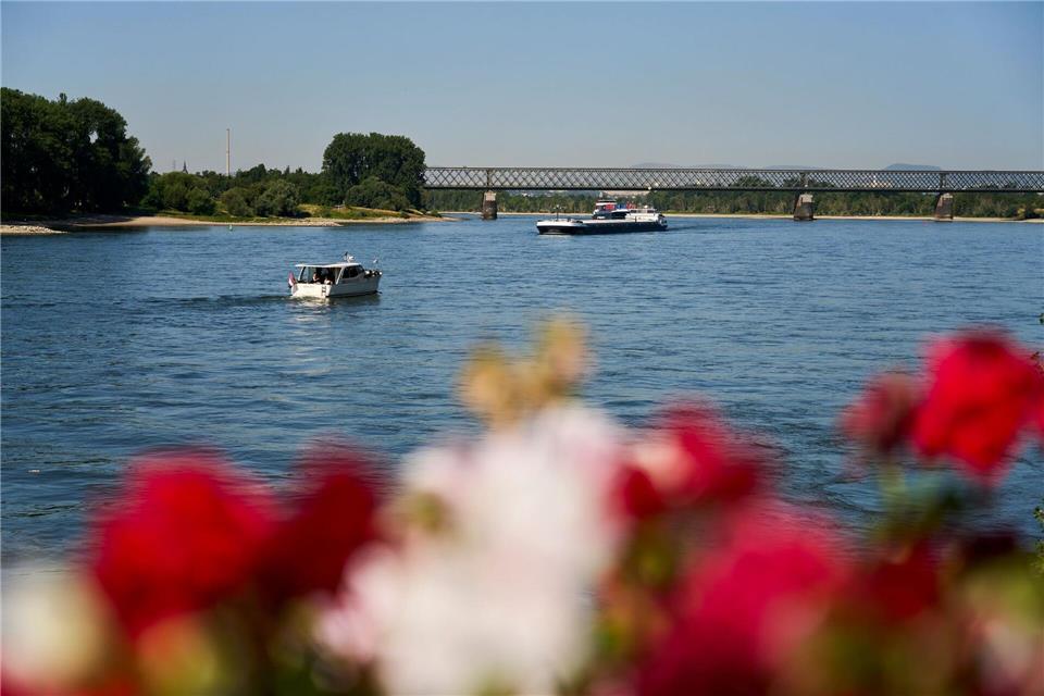 Am Samstag locken sommerliche Temperaturen nochmals nach draußen. (Archivbild)Sascha Ditscher/dpa
