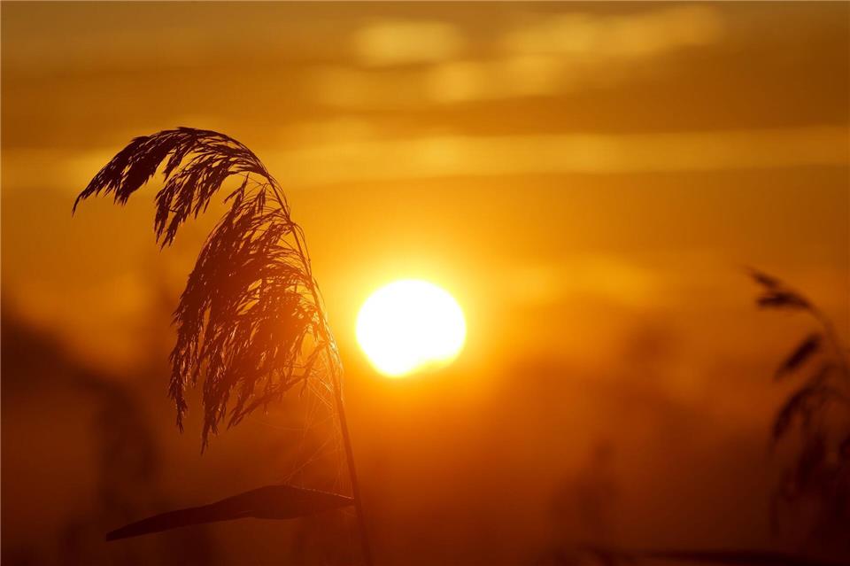 Am Sonntag lädt das Wetter zu einem Herbstspaziergang in der Sonne ein. (Archivbild)Thomas Warnack/dpa