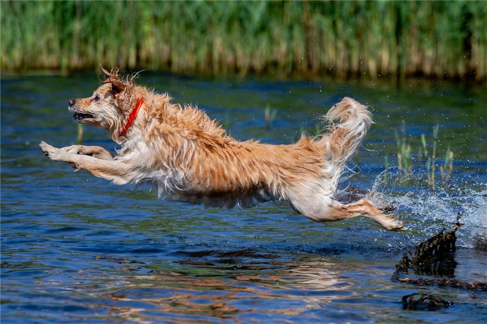 Am Sonntag nimmt dann die Wärmebelastung deutlich zu. (Archivbild)Hauke-Christian Dittrich/dpa