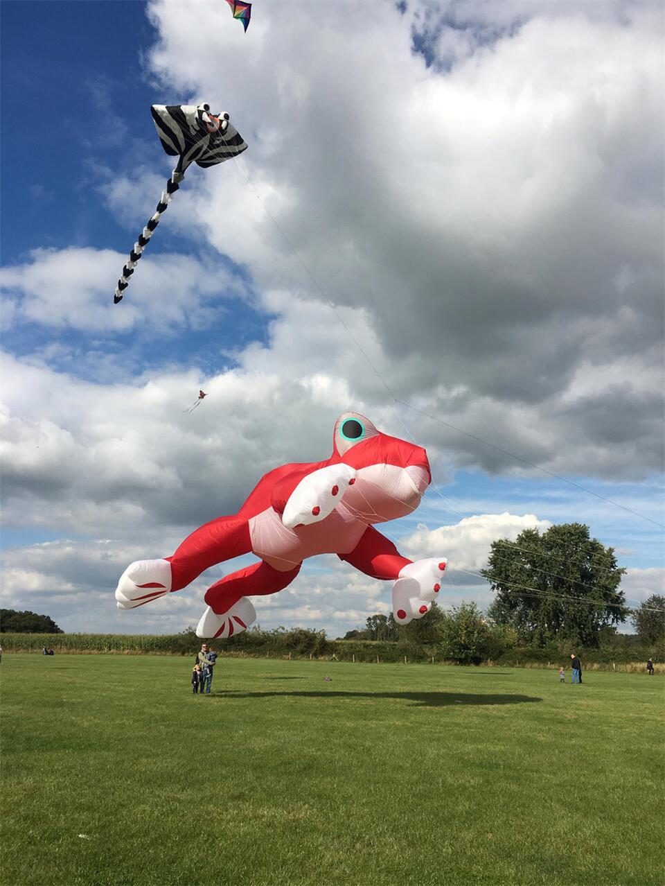 Am Sonntag steigt am Flugplatz in Hoxfeld wieder das Drachenfest.