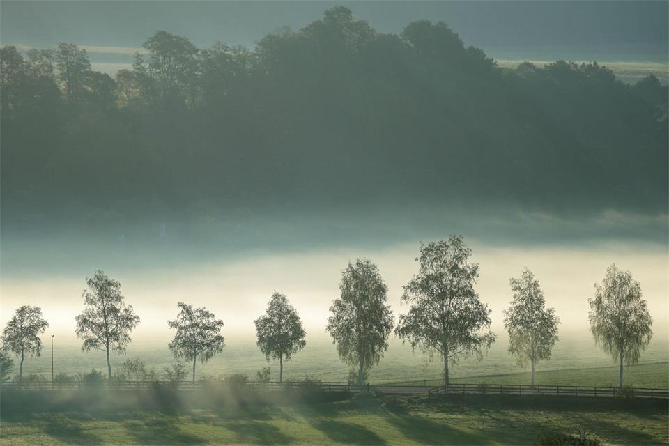 Am Sonntag ziehen in Südwesten Regenwolken auf, ab Montag wird es wieder freundlicher.Thomas Warnack/dpa