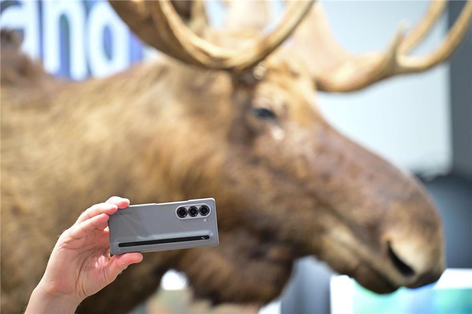 Am Stand von Estland gab es Schnittchen mit Elch-Aufschnitt.Sebastian Christoph Gollnow/dpa