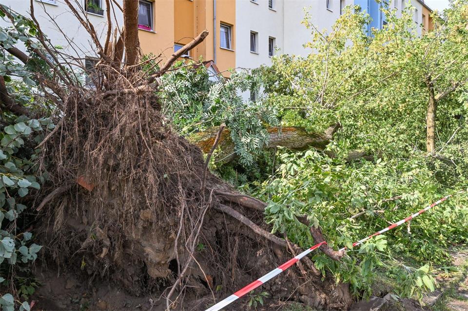 Am Tag danach ist in Fürstenwalde Aufräumen angesagt.Patrick Pleul/dpa