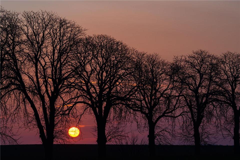 Am Tag lautet die Prognose: Sonnenschein und frühlingshafte Temperaturen.Patrick Pleul/dpa