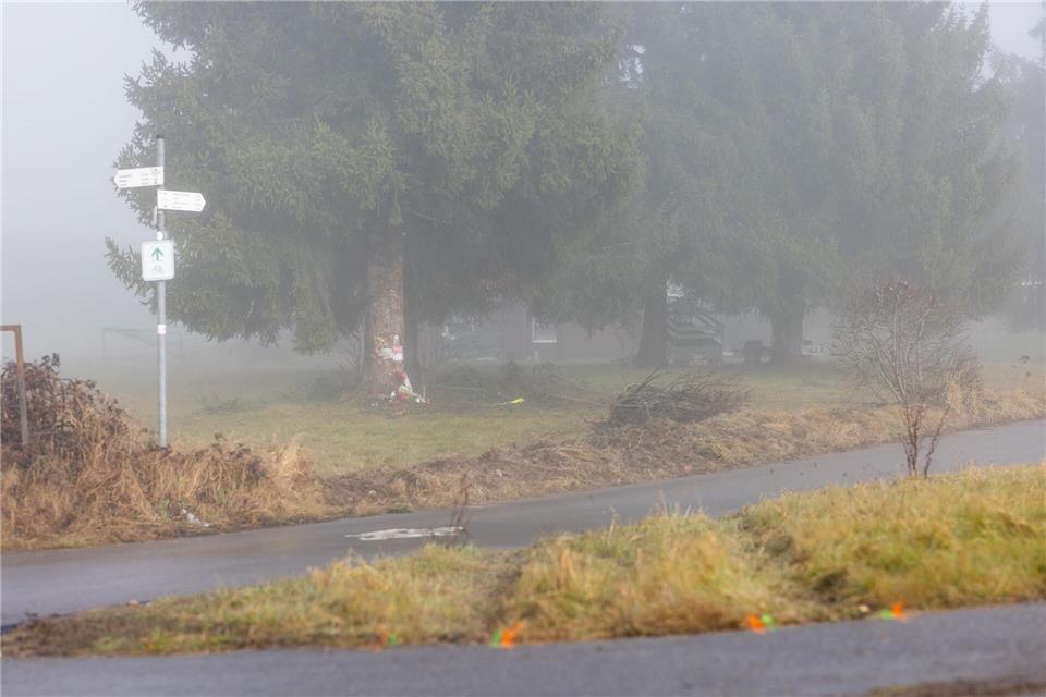 Am Unfallort wurden Kerzen aufgestellt. (Archivbild) Philipp von Ditfurth/dpa