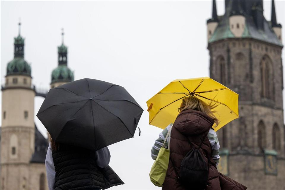 Am Vormittag ist es Zeit für Regenschirme. (Symbolbild)Hendrik Schmidt/dpa