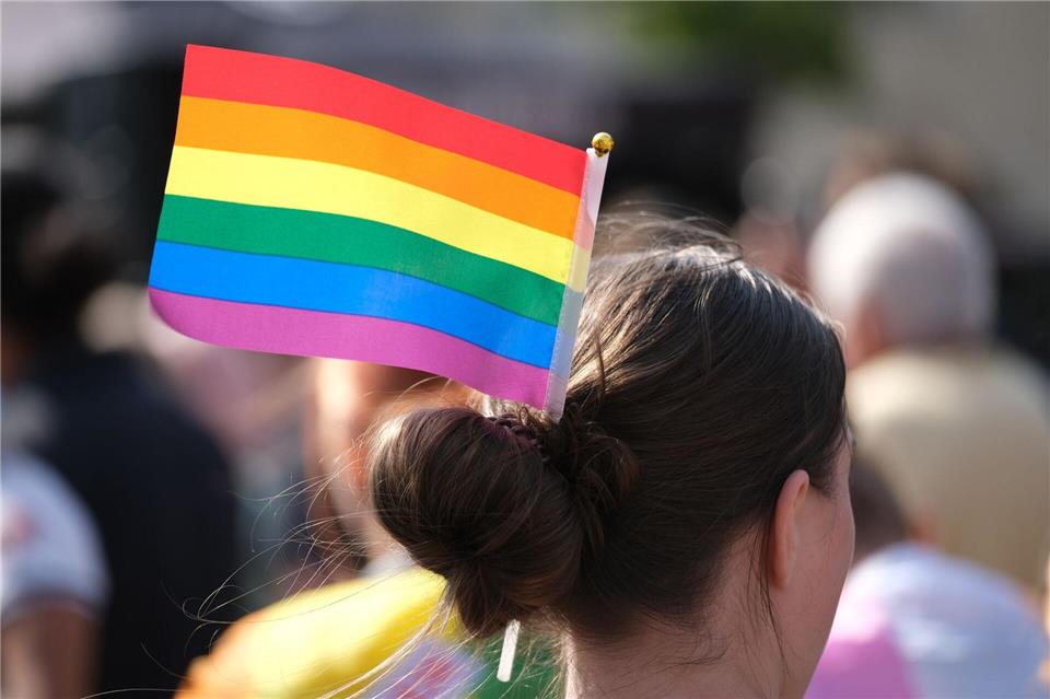 Am Wochenende finden in Frankfurt (Oder) und Eisenhüttenstadt CSD-Züge statt. (Symbolbild)Sebastian Willnow/dpa