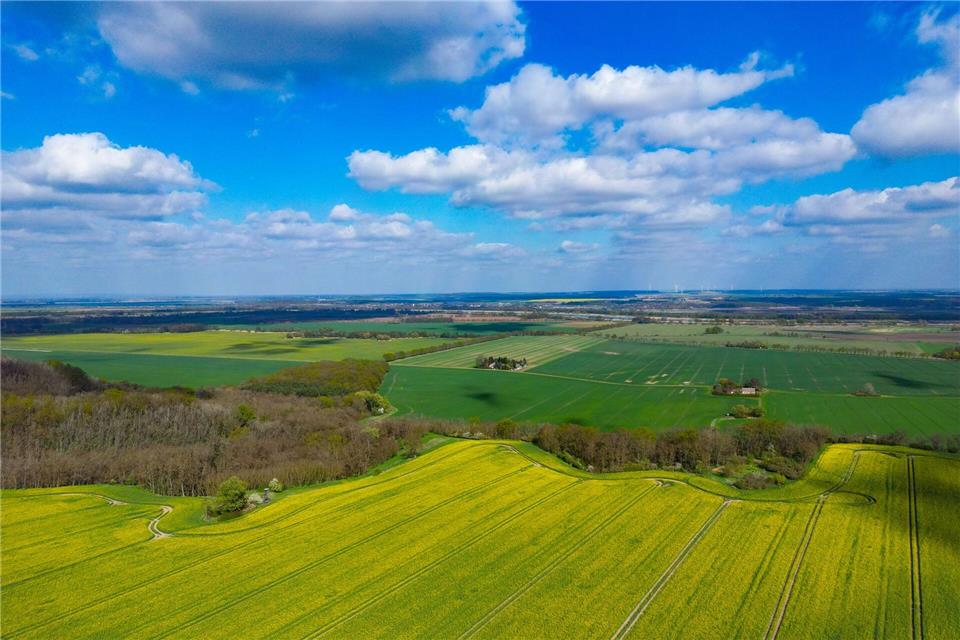 Am Wochenende gibt es viel Sonnenschein in Berlin und Brandenburg.Patrick Pleul/dpa