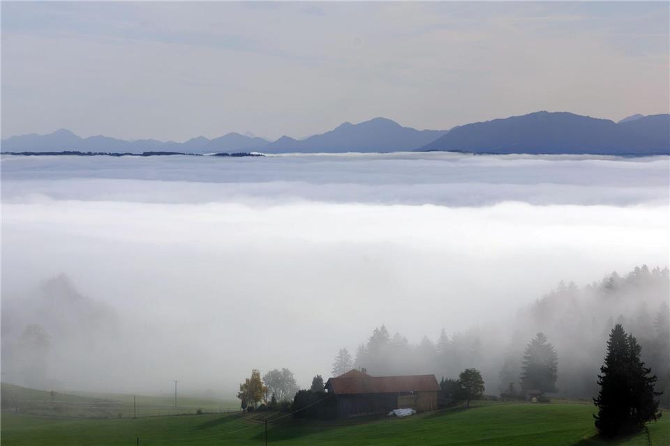 Am Wochenende ist mit viel Nebel im Freistaat zu rechnen. (Symbolbild)Karl-Josef Hildenbrand/dpa