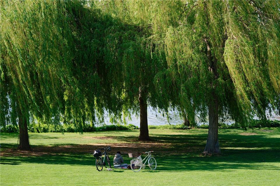 Am Wochenende scheint weiter die Sonne.Uwe Anspach/dpa
