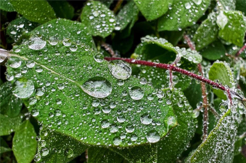 Am Wochenende sind auch Regenschauer möglich. (Archivbild)Christoph Schmidt/dpa