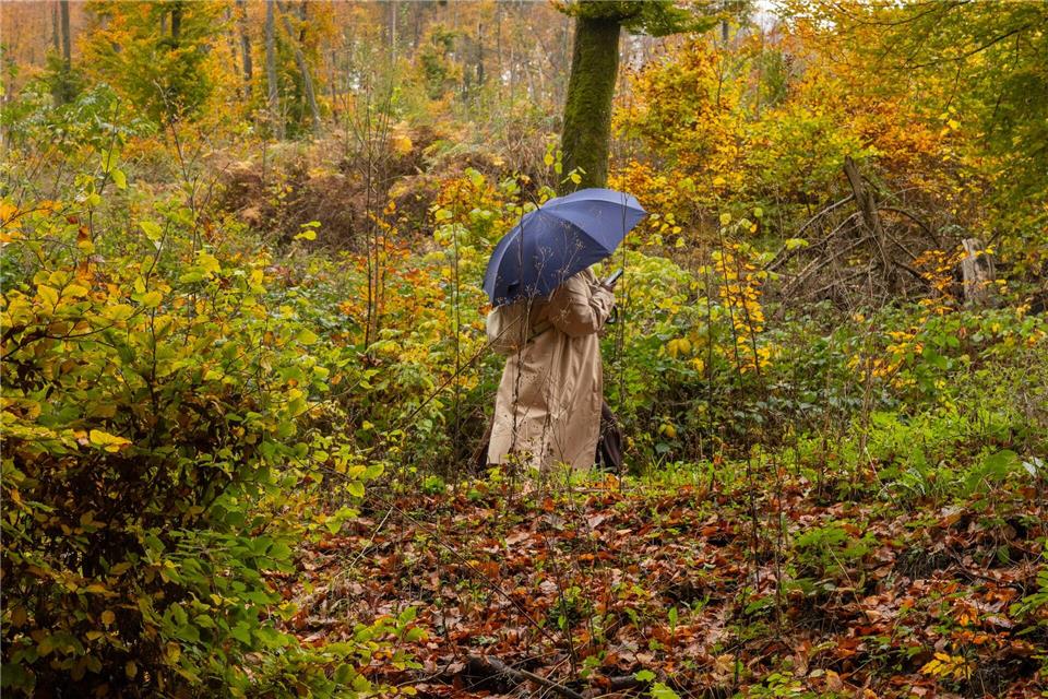 Am Wochenende sollten die Menschen in Hessen den Regenschirm einpacken. (Symbolbild)Helmut Fricke/dpa