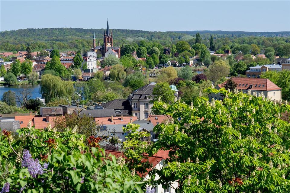 Am Wochenende startet das Baumblütenfest in Werder (Havel). (Archivbild)Soeren Stache/dpa