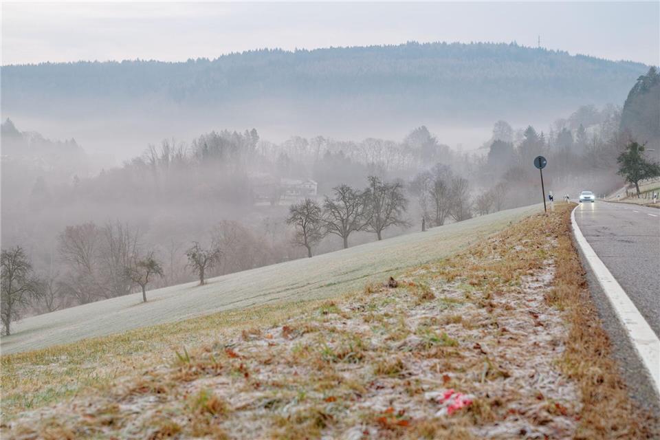 Am Wochenende wird Schnee erwartet. (Archivfoto)Uwe Anspach/dpa