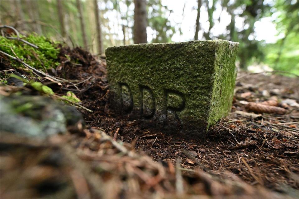 Am hessisch-thüringischen Grenzstreifen konnte sich die Natur lange fast ungestört entwickeln. (Archivbild)Martin Schutt/dpa