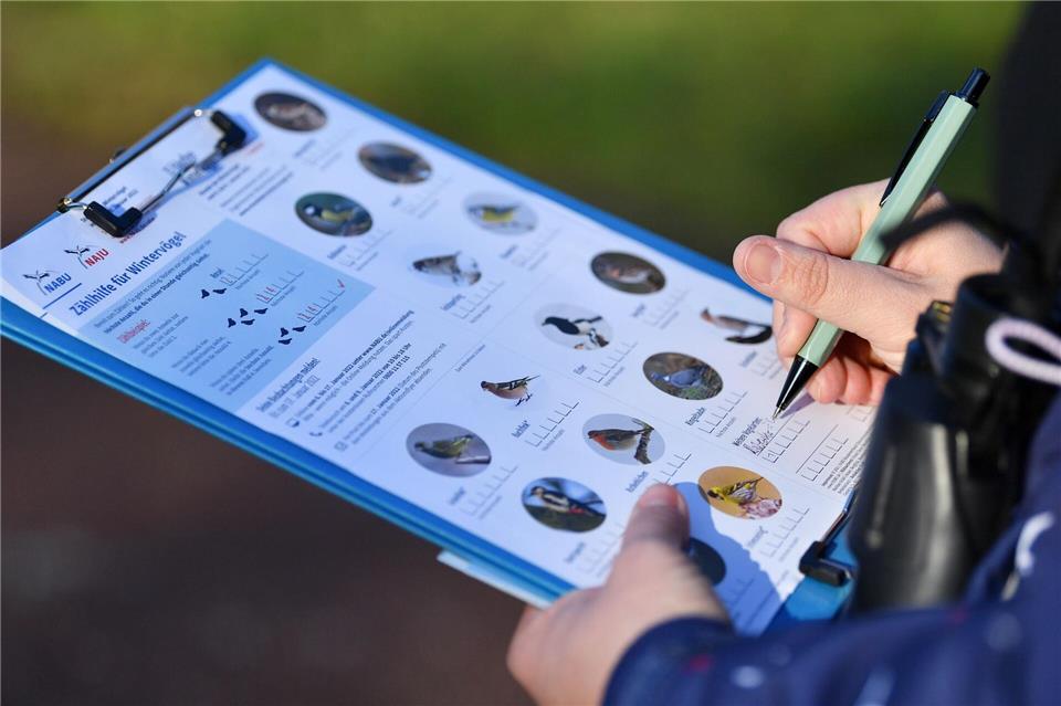 Am kommenden Wochenende können im eigenen Garten wieder Vögel gezählt werden. (Archivbild)Martin Schutt/dpa-Zentralbild/dpa