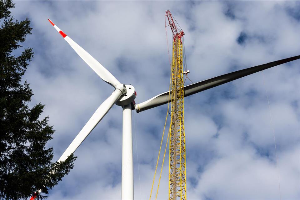 Am westlichen Randbereich von Erle sollen die drei Windräder der Erler Lohr GbR entstehen.
