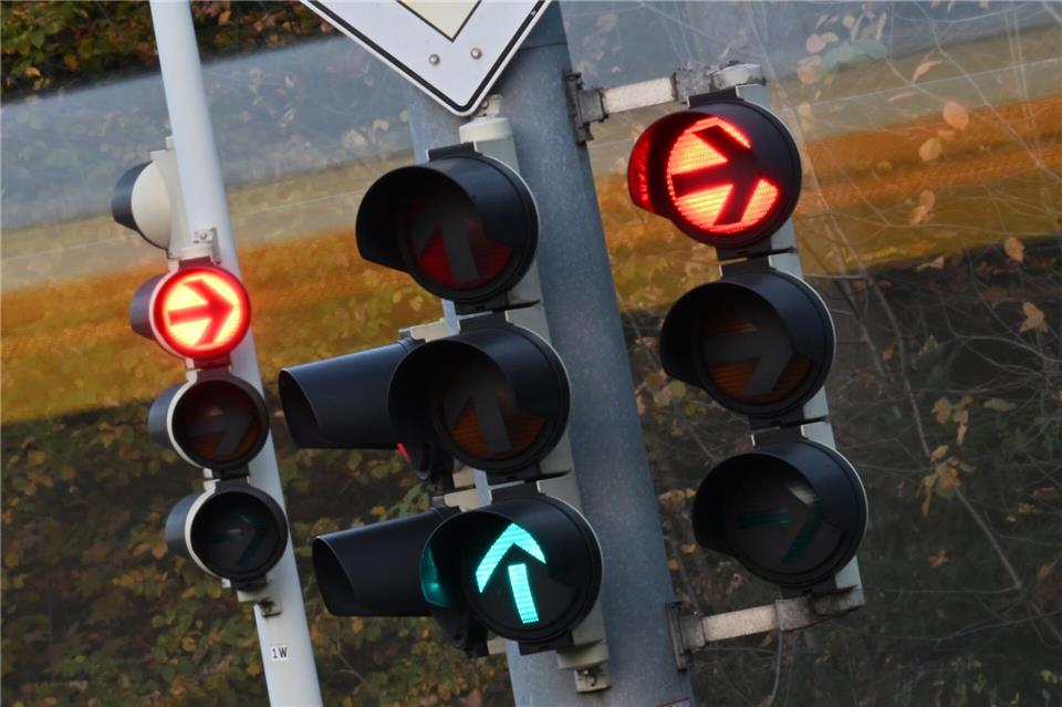 Ameisen legen eine Ampelsteuerung lahm. (Archivbild)Bernd Weißbrod/dpa