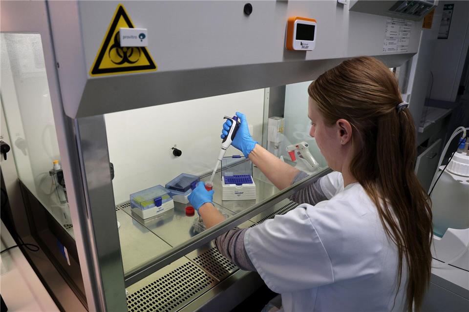 An „Elaine“-Projekt sind 80 Forscherinnen und Forscher an der Universitätsmedizin Rostock beteiligt. Bernd Wüstneck/dpa