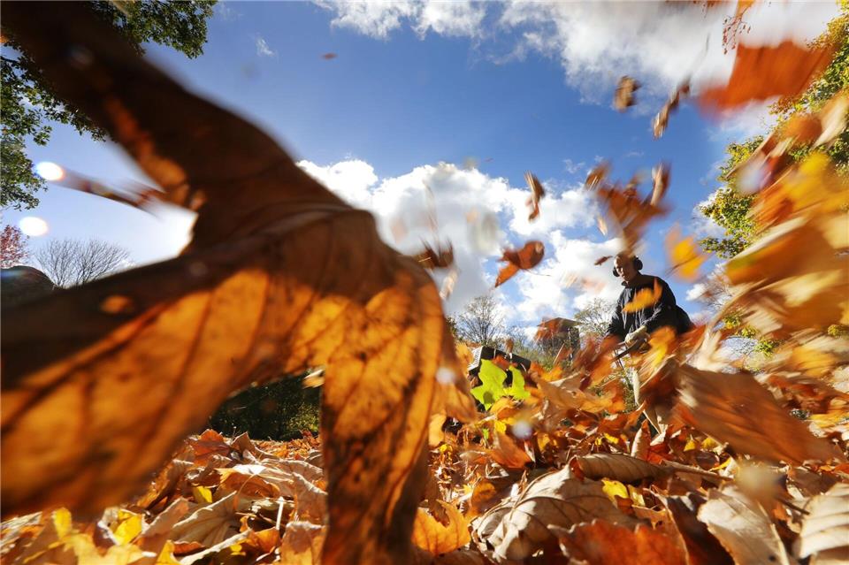 An Sonn- und Feiertagen ist ihr Einsatz verboten: Laubbläser.picture alliance/dpa