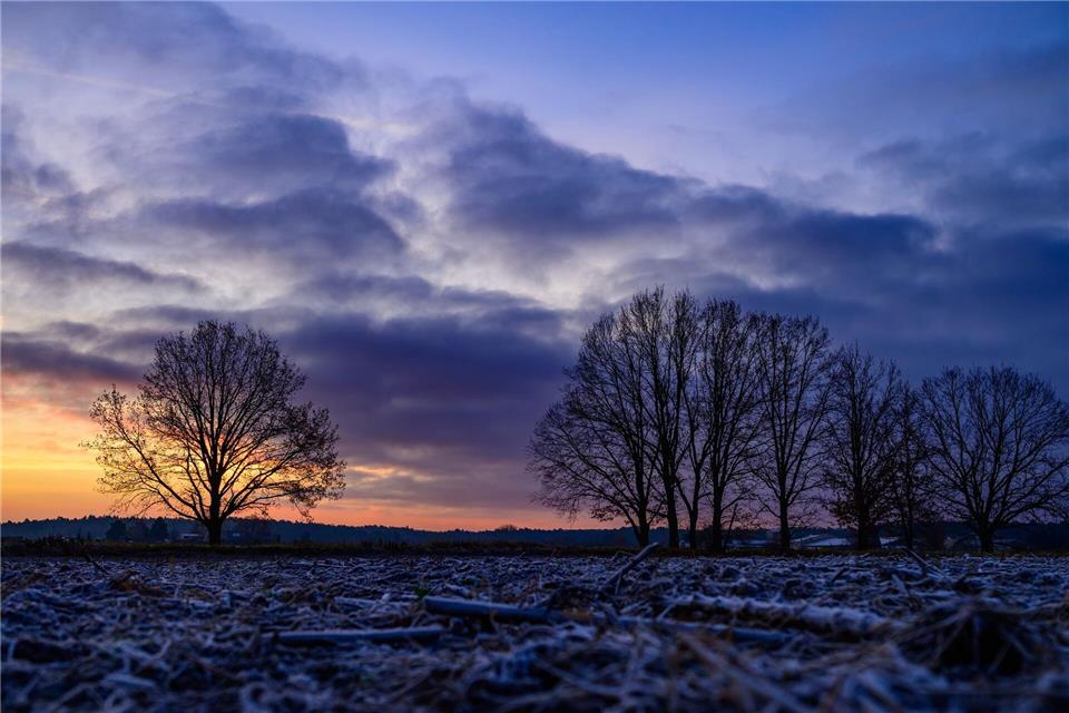 An den Weihnachtsfeiertagen soll sich laut DWD freundlicheres Wetter einstellen und die Sonne rauskommen. (Archivbild)Patrick Pleul/dpa