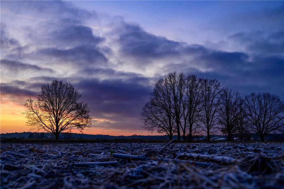 An den Weihnachtsfeiertagen soll sich laut DWD freundlicheres Wetter einstellen und die Sonne rauskommen. (Archivbild)Patrick Pleul/dpa