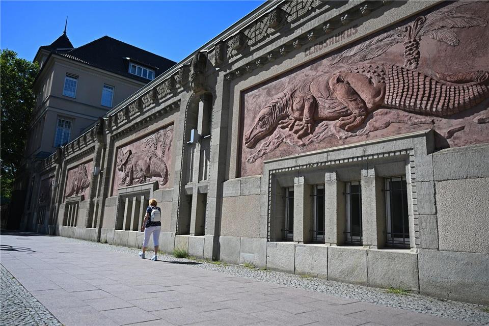 An der Fassade des Gebäudes sind Reliefs von Dinosauriern und Reptilien angebracht.Michael Brandt/dpa