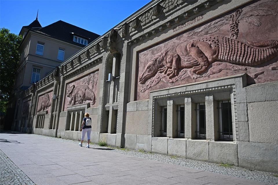 An der Fassade des Gebäudes sind Reliefs von Dinosauriern und Reptilien angebracht.Michael Brandt/dpa