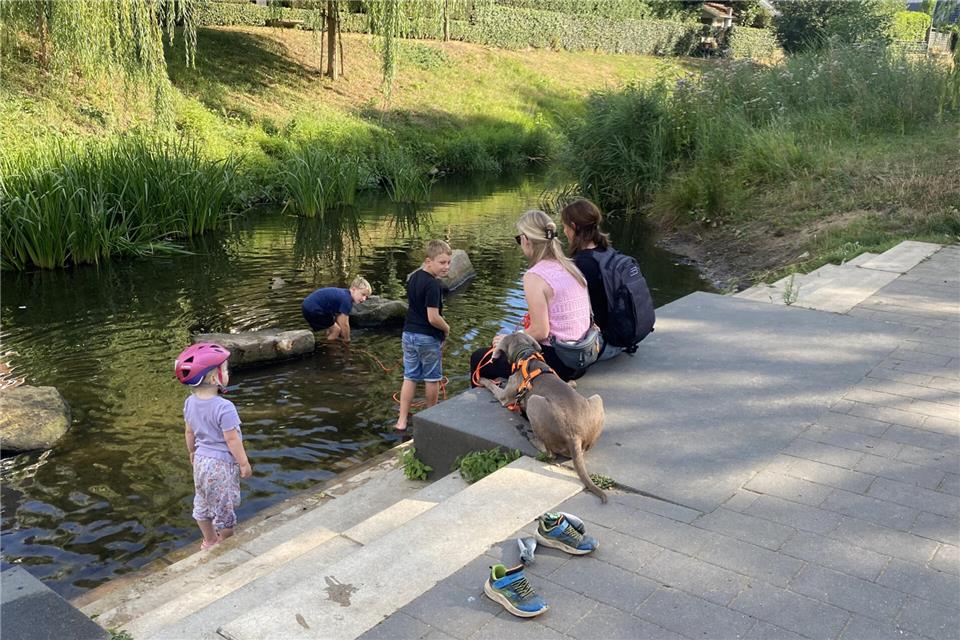 An der Fischtreppe in Ramsdorf kann man gemütlich seine Füße ins Wasser halten, um sich abzukühlen und wenn man Glück hat, ein paar Fische beobachten.