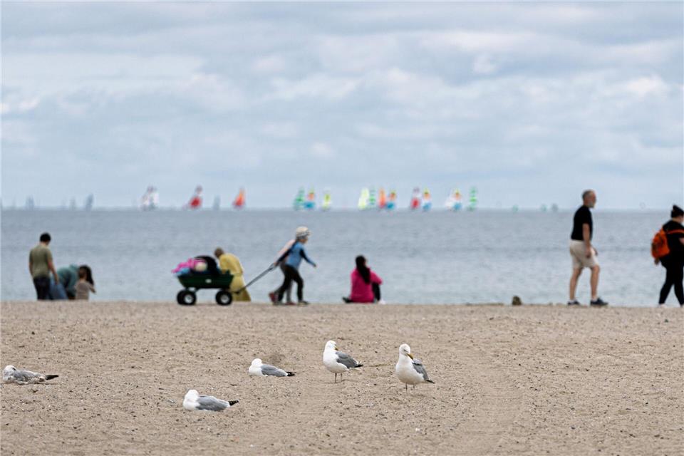 An der Küste weht teils ein frischer und böiger Wind. (Symbolbild)Markus Scholz/dpa