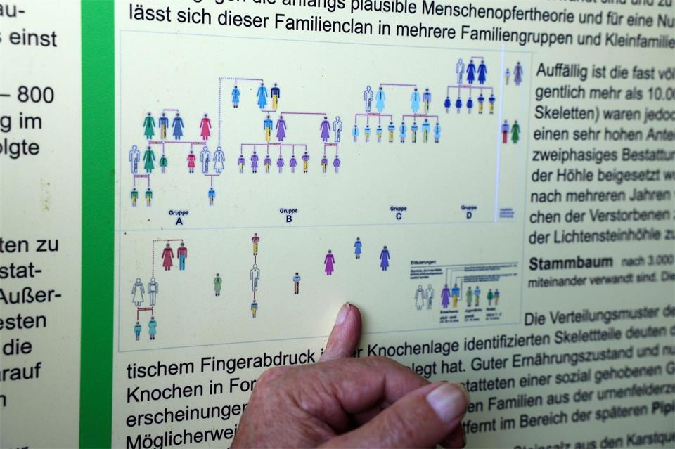 An der Lichtensteinhöhle in Osterode am Harz finden sich Informationen über die Stammbaumgeschichte.Stefan Rampfel/dpa