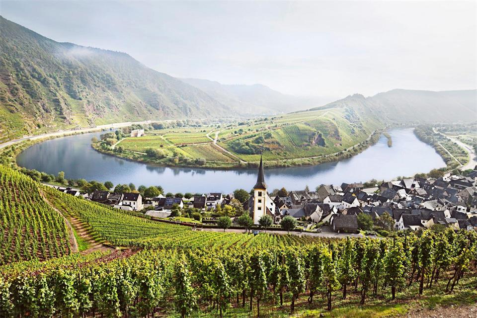 An der Mosel hoffen Winzer nach der Lese für ausgewählte hängengebliebene Trauben auf Temperaturen von minus sieben Grad. Dann frieren die Beeren durch und sind perfekt für Eiswein. Besonders Riesling eignet sich dafür. Deutsches Weininstitut/www.deutscheweine.de/dpa-tmn