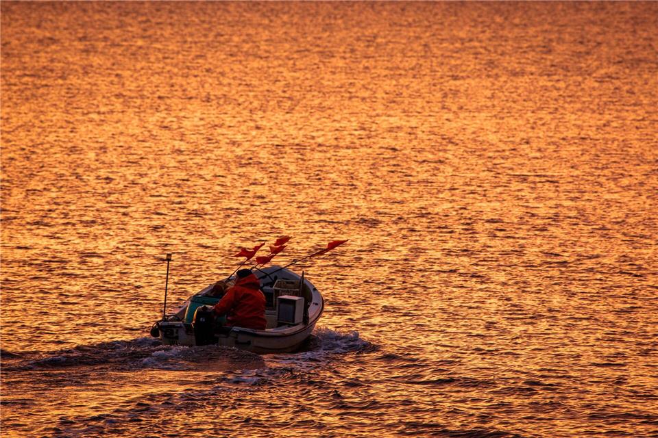 An der Ostseeküste wurde wieder ein Wal gesichtet. (Symbolbild) Jens Büttner/dpa