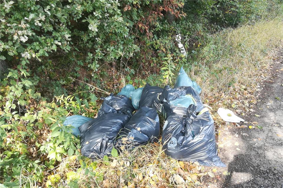 An der Torfwiese sind diese Müllsäcke illegal entsorgt worden.