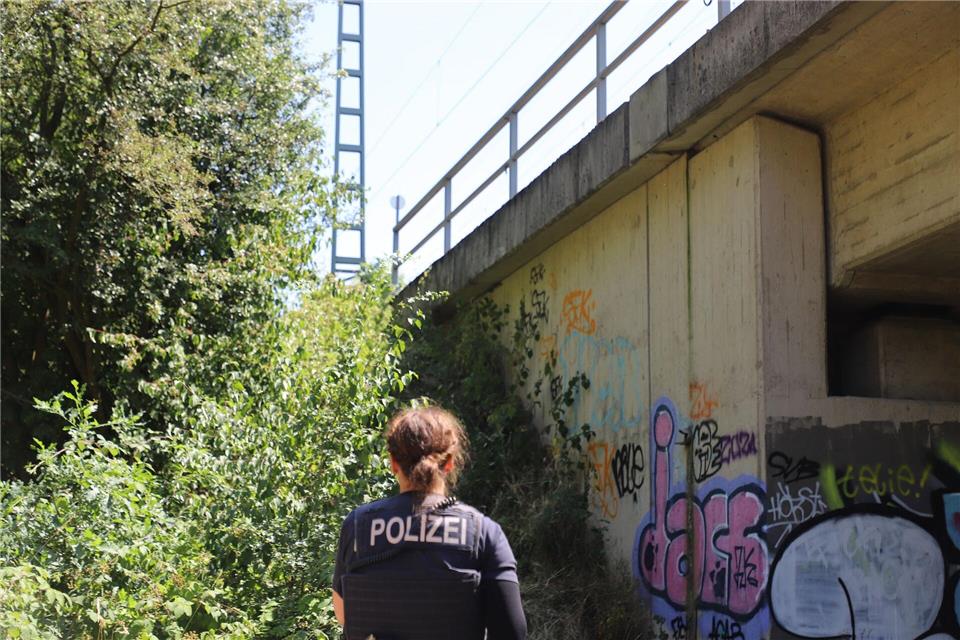 An der wichtigen Bahnstrecke zwischen Köln und Düsseldorf kam es zu einem Böschungsbrand.Sascha Thelen/dpa