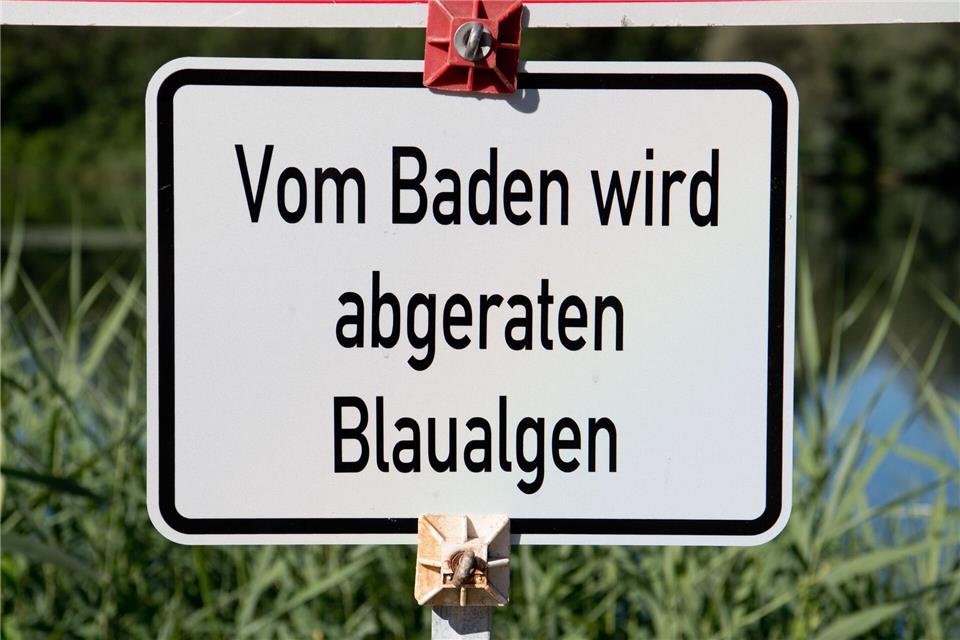 An einigen Seen im Norden werden wegen Blaualgen Badeverbote ausgesprochen. (Symbolbild)Julian Stratenschulte/dpa