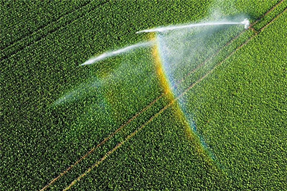 An mehr als der Hälfte der Messstellen bewegen sich die Grundwasserstände derzeit im normalen Bereich. (Symbolbild) Julian Stratenschulte/dpa