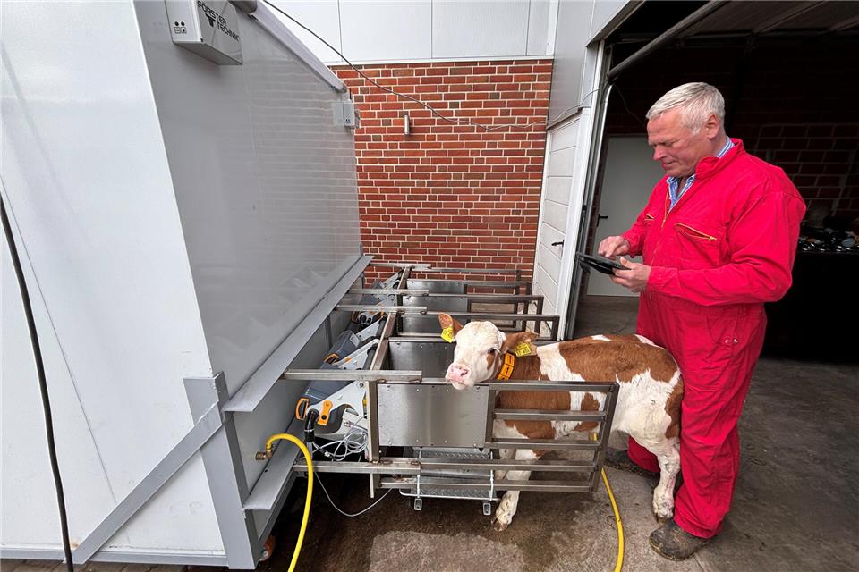 Borkener Landwirt konstruiert mobile Kälber-Tränke An seinem mobilen Kälber-Container kann Franz Meßling die Fütterung per Tablet steuern.