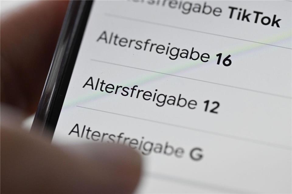 Andere Staaten haben ein Social-Media-Mindestalter bereits beschlossen oder bereiten es vor. (Symbolbild)Bernd Weißbrod/dpa