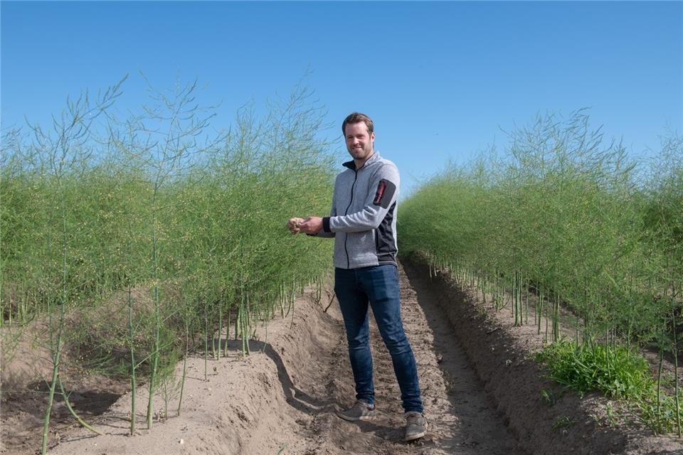 André Brösterhaus verweist auf steigende Kosten im Spargel-Anbau.