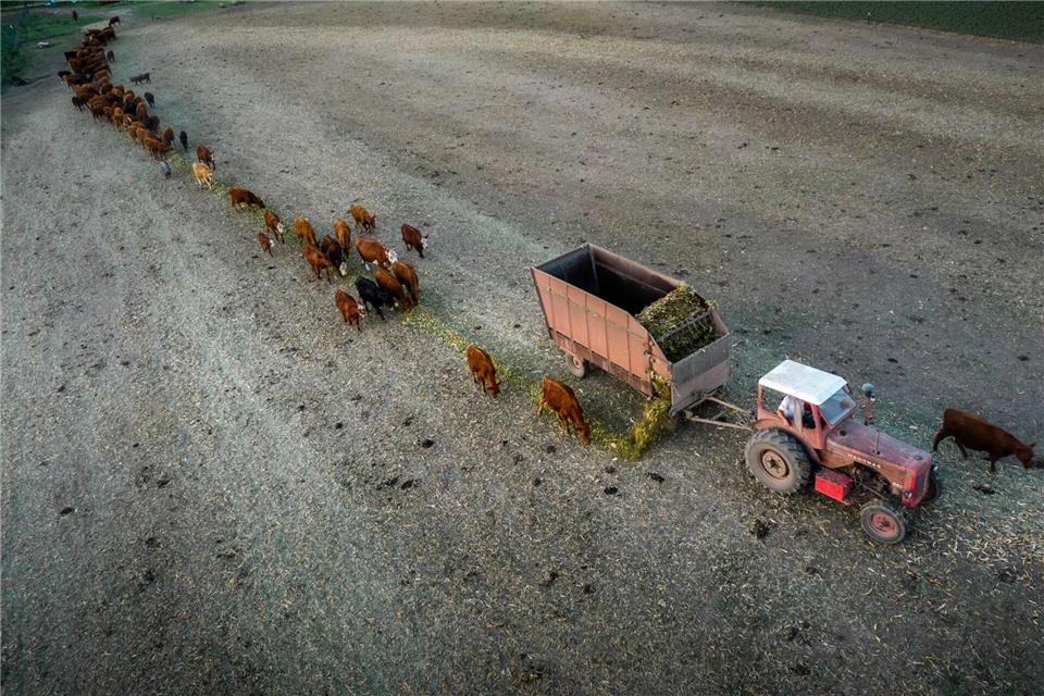 Anfang Februar 2023 trug La Niña zu einer verheerenden Dürre in Argentinien bei. (Archivbild)eduardo bodiño/dpa