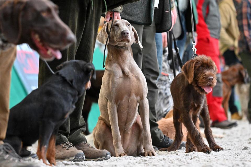 Angebote für Freizeit im Grünen werden geboten. (Archivbild) Martin Schutt/dpa