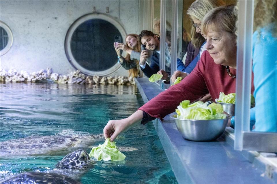 Angela Merkel ist nach Stralsund gekommen - Anlass war unter anderem ein Festakt zum Abschluss der Modernisierung des Meeresmuseums.Stefan Sauer/dpa
