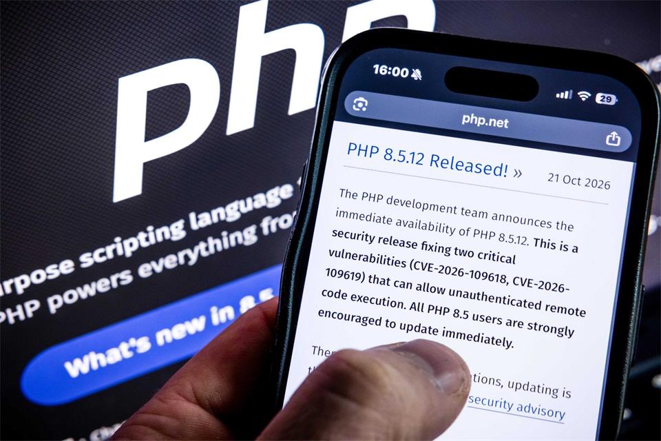 Angreifbare Webseiten sollten nach Ansicht eines Experten sofort abgeschaltet werden. Rob Engelaar/ANP/dpa