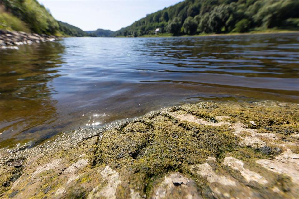 Anhaltende Trockenheit lässt die Wasserstände der Elbe auf extreme Tiefstände sinken. (Archivbild) Jürgen Lösel/dpa
