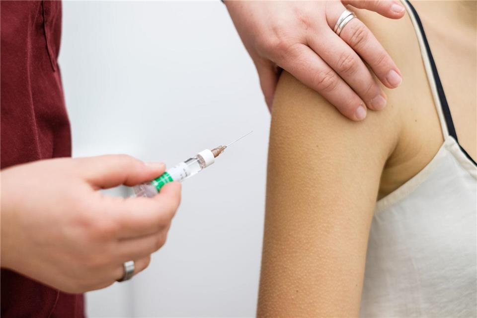 Anlässlich des Falls mahnt die Bundestierärztekammer erneut zur Vorsicht bei der Aufnahme von Hunden aus dem Auslandstierschutz. (Symbolbild)Ole Spata/dpa