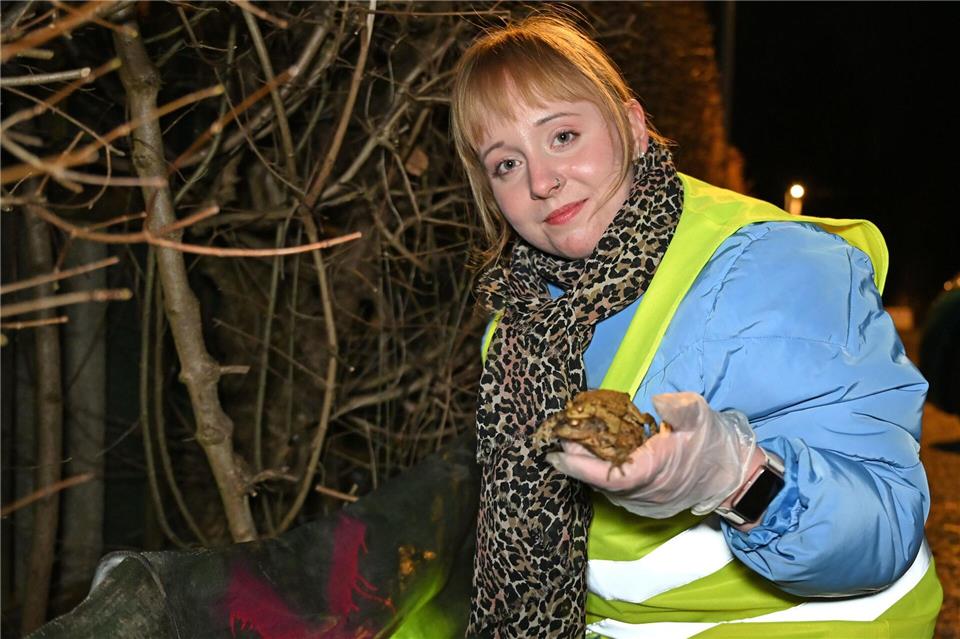 Anne Selle hilft in Chemnitz bei der Amphibienwanderung: „Ich finde die Tiere total niedlich.“ David Hammersen/dpa