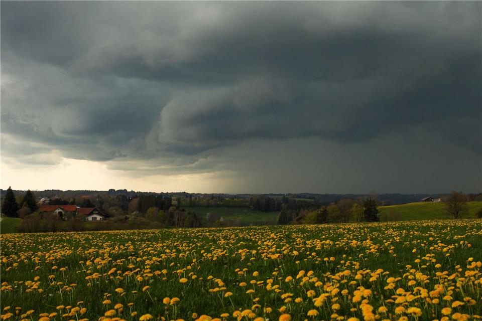 Aprilwetter in Bayern: Blühende Wiesen, Gewitter - aber auch nochmal Frost. Alexander Wolf/onw-images/dpa
